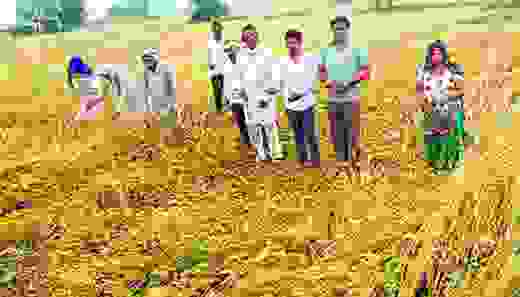 mathura farmer...
